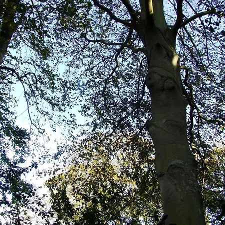 Tatil Evi Maison Charmante A Avec Jardin Clos Et Acces Pmr *