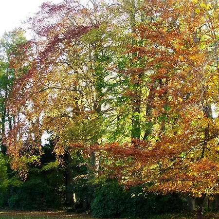 Maison Charmante A Avec Jardin Clos Et Acces Pmr *