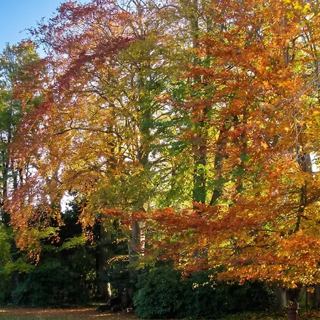 Vakantiehuis Maison Charmante A Avec Jardin Clos Et Acces Pmr