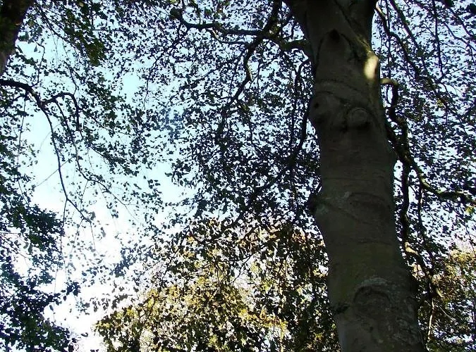 בית נופש Maison Charmante A Avec Jardin Clos Et Acces Pmr *