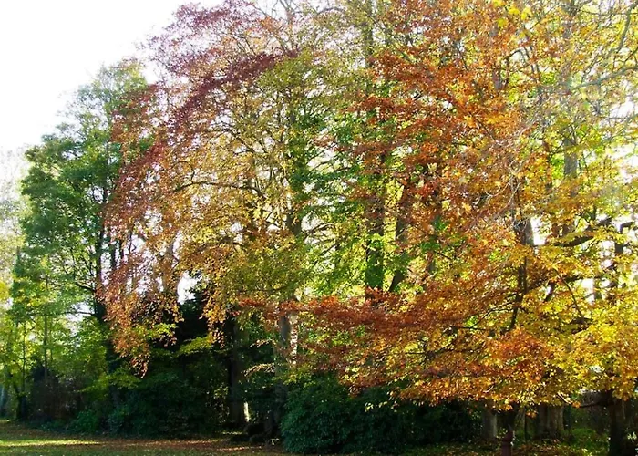 Maison Charmante A Avec Jardin Clos Et Acces Pmr *